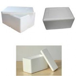 CUSTOM PRINTED ECO FRIENDLY EPS FOAM COOLER VEGETABLE